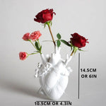 Anatomisk Hjertevase™ | Anatomisk stilfuld dekoration